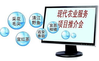 一畝田宜昌農(nóng)產(chǎn)品營銷邁入互聯(lián)網(wǎng)時代 開啟網(wǎng)絡(luò)文化經(jīng)營新篇章